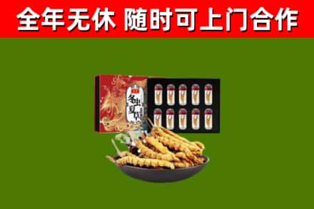白沙县烟酒回收冬虫夏草礼盒.jpg